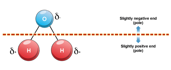 Coffee extraction and water polarity