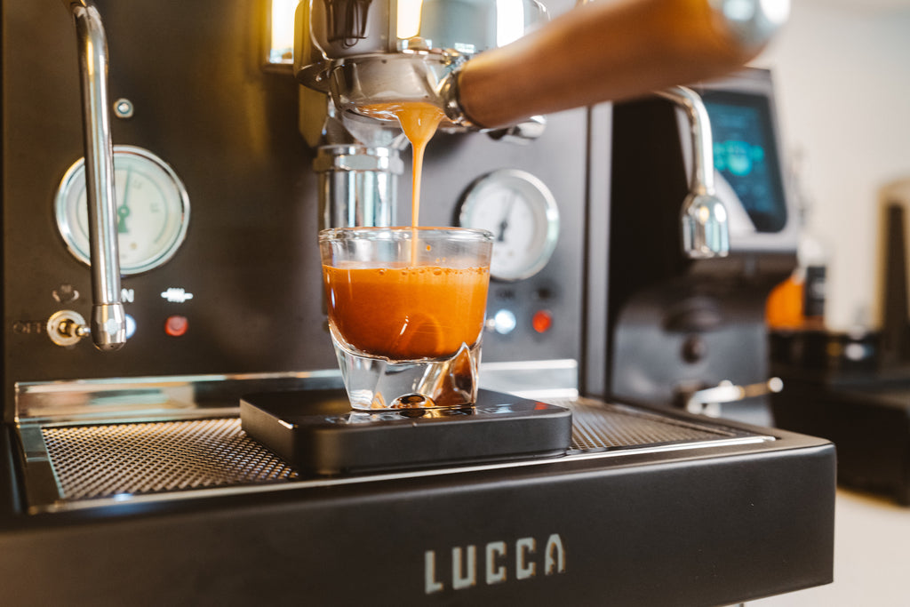 LUCCA M58 espresso machine shot pulling