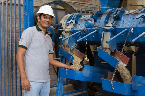 Alex Guerrero, Equipment Manager, at Bagua Grande's dry processing facilities in Peru. Standing next to dry coffee milling machinery.