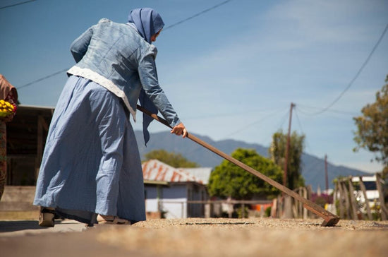 International Women's Day: Specialty Coffee Edition